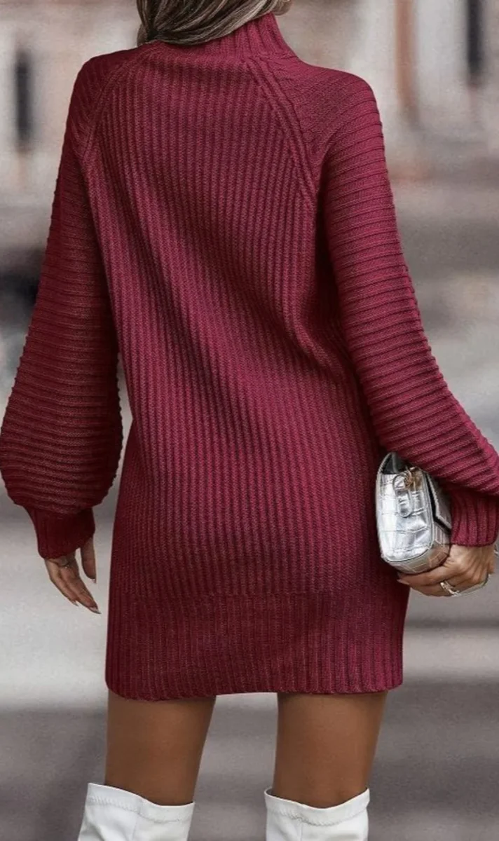 Robe Col Roulé Manches Longues Pour Femme | Mini – Image 4