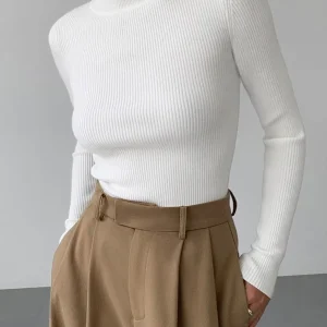 Ribbed Sweater | High Neck | Elegant and Tailored