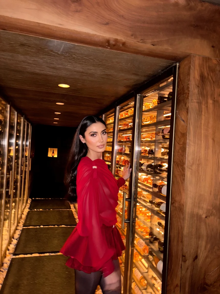 Sheer Drape & Pleated Skirt Set | Sculptural Elegance – Image 4