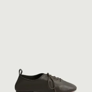 DERBIES ORSO MARRON