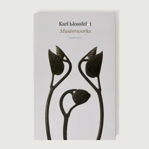 LIVRE 'KARL BLOSSFELDT : MASTERWORKS'