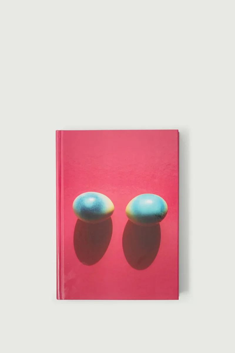 LIVRE 'VIS-À-VIS' – Image 2