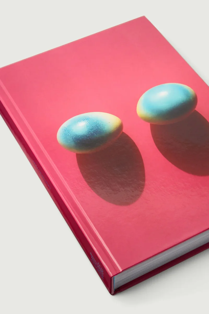 LIVRE 'VIS-À-VIS' – Image 3